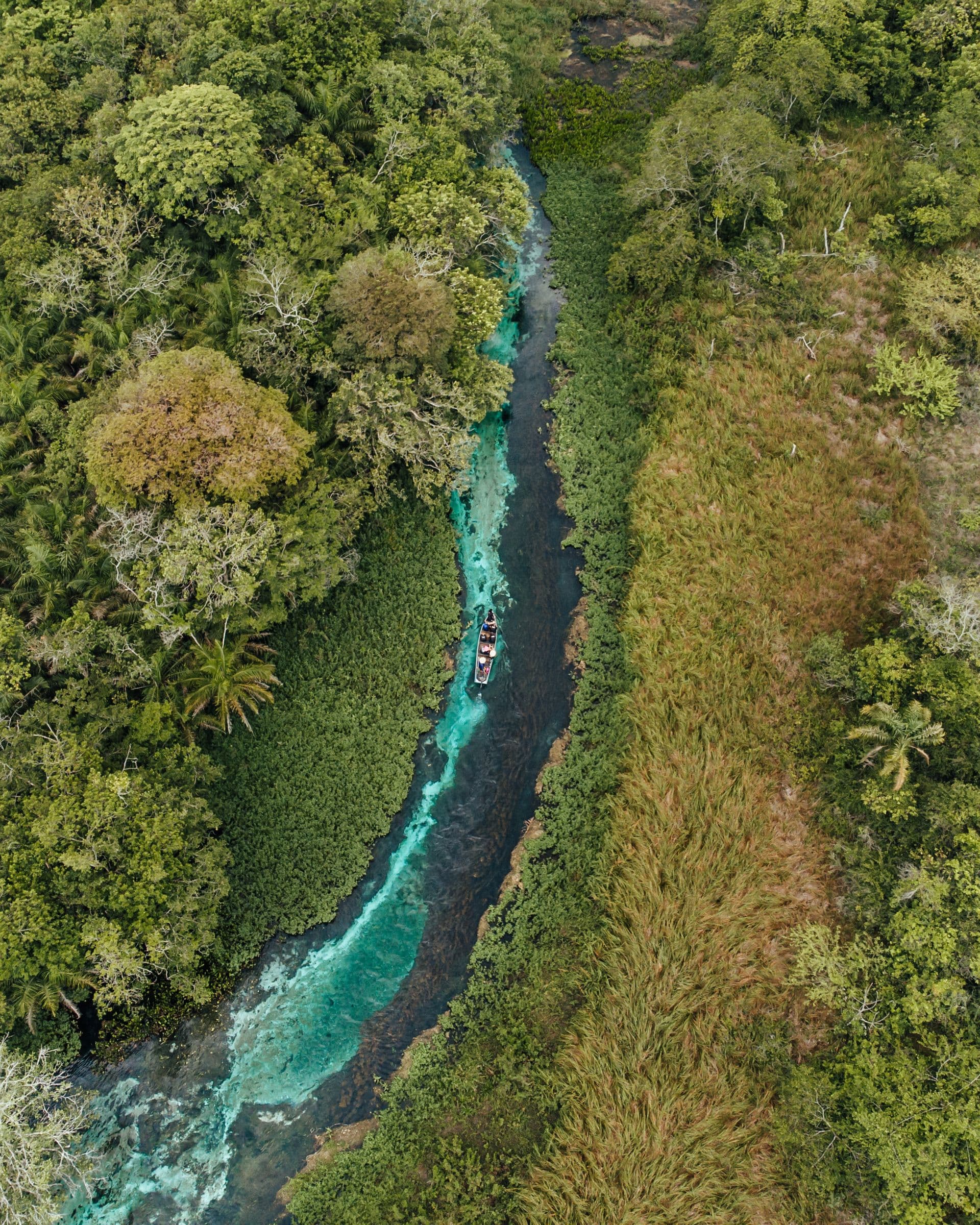 Bonito e Região