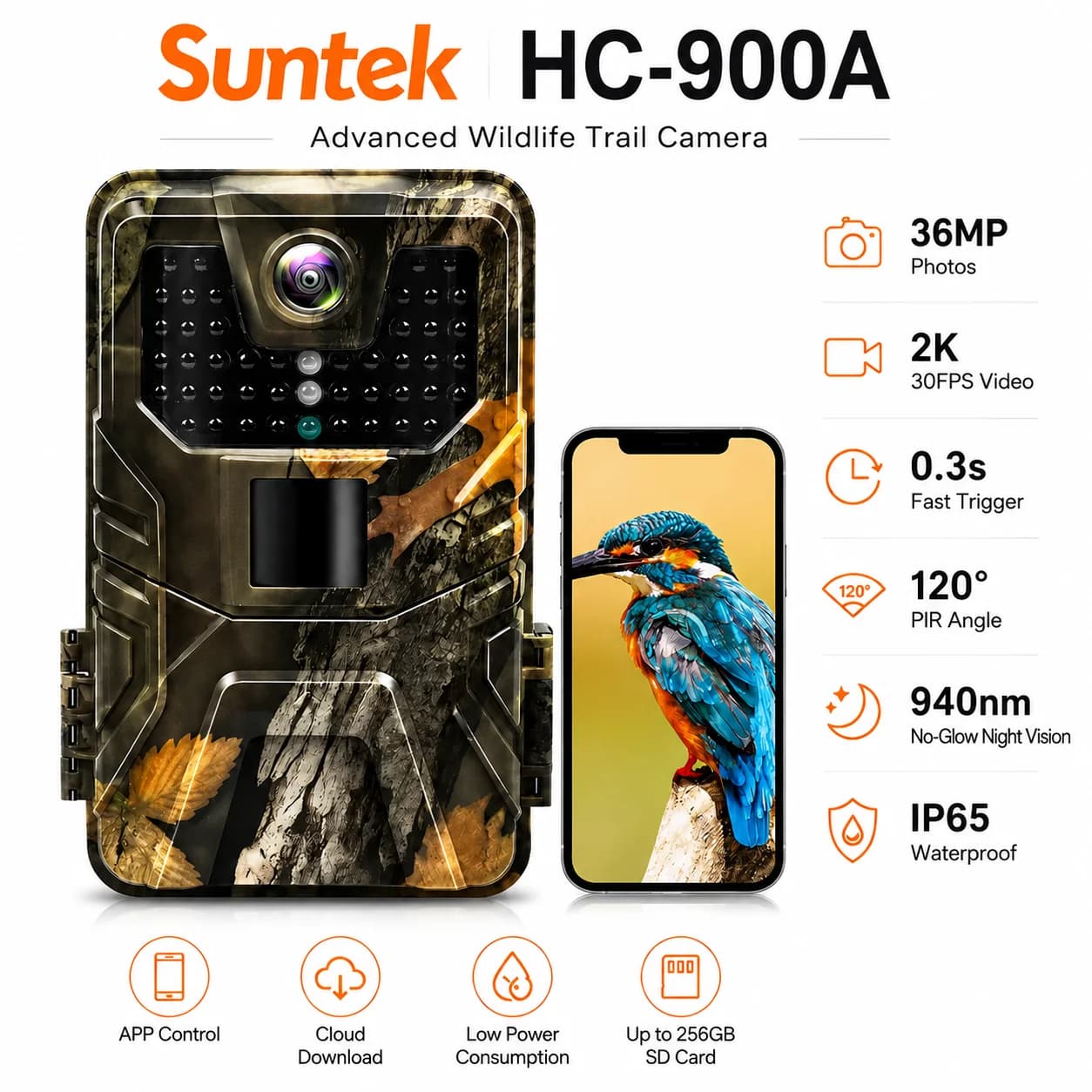 Waterproof Outdoor Trail Camera, No Glow Night Vision, Monitoramento da vida selvagem, Trap Game Cam, 2k, 120 Detection Range, 36MP, IP66