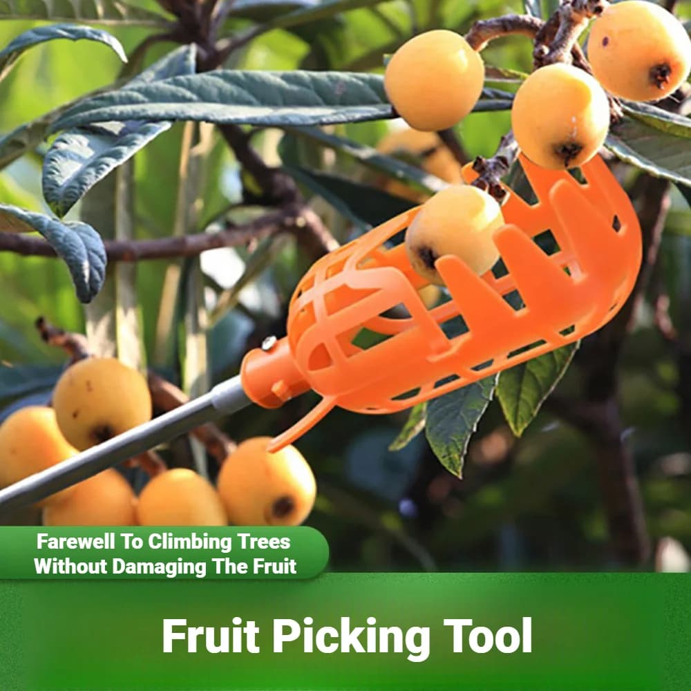Cesto Coletor de Frutas de Plástico Multicolorido com Cabeça Profunda, Ferramenta Conveniente para Colheita de Maçã, Pêssego, Bayberry, Jujuba e Vegetais em Fazendas
